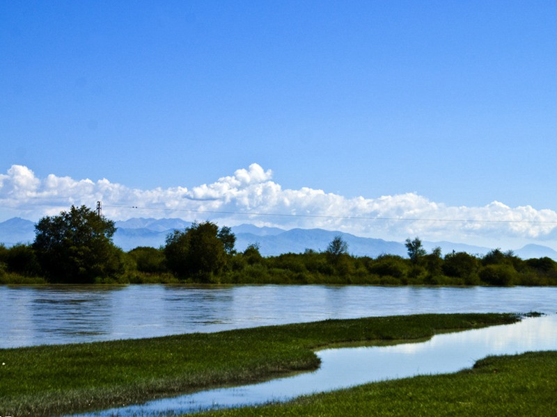 山东省总投资三十七亿来有效的保护湿地