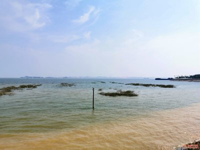 海洋局称在我国临海河域的生态环境污染问题比较严重