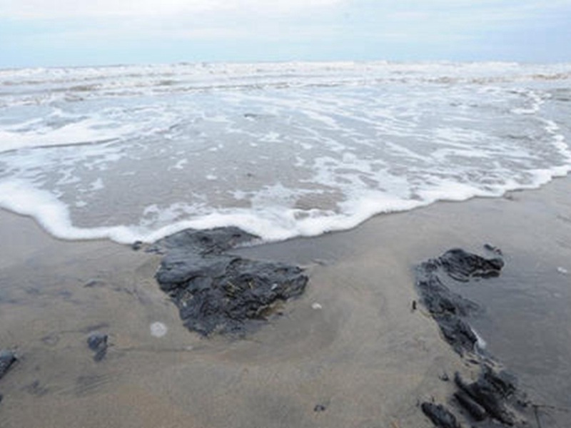 三友化工污染铸就“死海”，严重危害着渤海生态环境