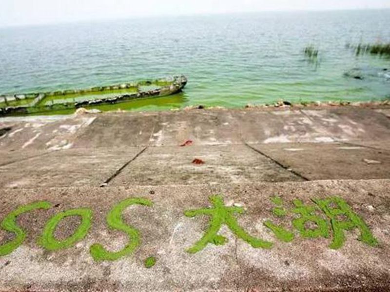 太湖变成为百亿治污的中国式治污标本